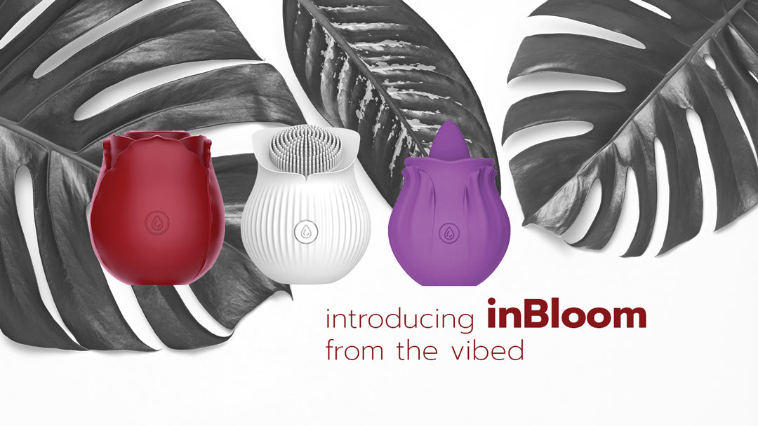 Introducing inBloom by TheVibed | thevibed.com