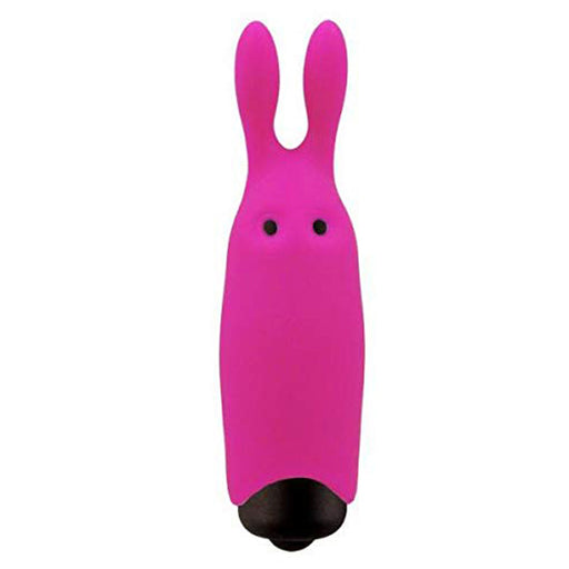Adrien Lastic Pocket Vibe Rabbit | thevibed.com