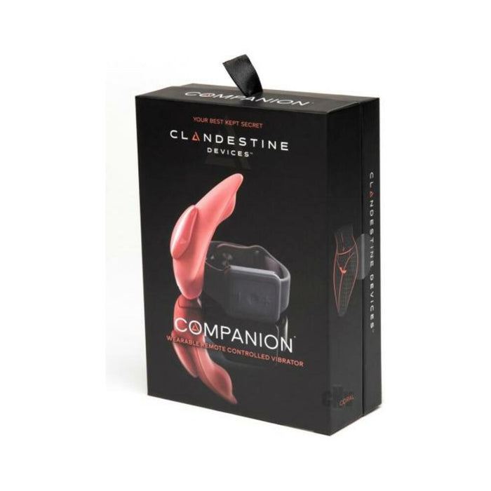 The Companion Remote Control Panty Vibe | thevibed.com