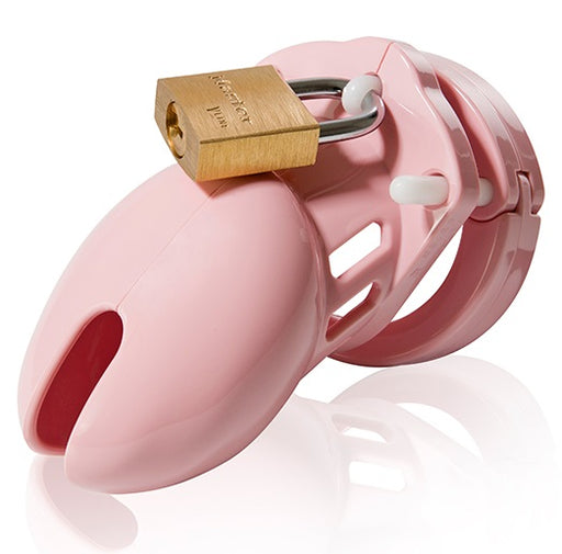 CB-X 6000S Package Pink Male Chastity Device | thevibed.com