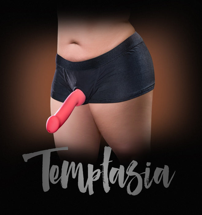 Blush Temptasia Harness Briefs Black | thevibed.com