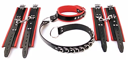 Rouge D-Ring Hogtie Kit Leather Restraints and Collar | thevibed.com