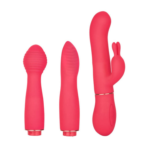 CalExotics In Touch Dynamic Trio Vibrator Kit with 3 Attachments | thevibed.com