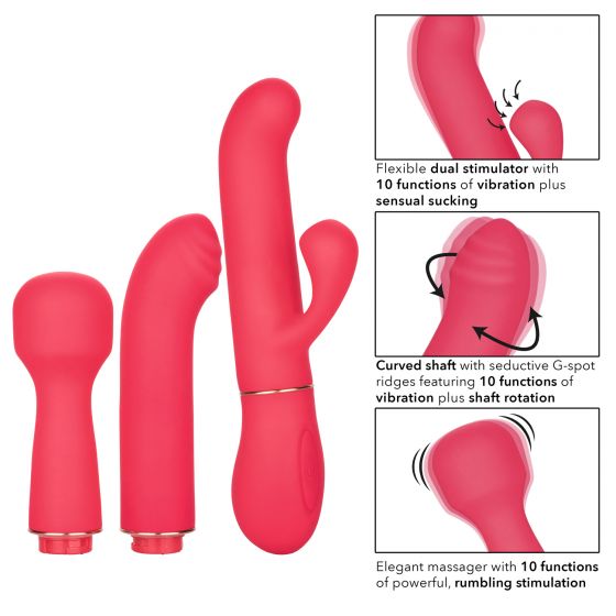CalExotics In Touch Passion Trio Vibrator Kit | thevibed.com