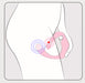Adrien Lastic O Venus Ergonomic Dual Vibrator | thevibed.com
